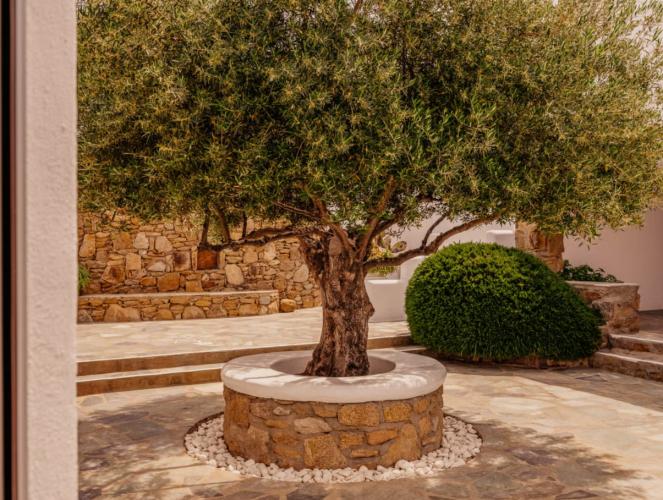 Hotel Soho Roc House Mykonos Paraga  Pokój zdjęcie